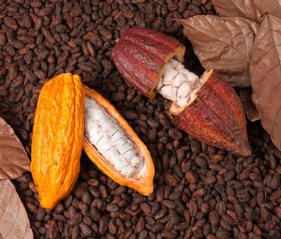 Cocoa VS Coffee