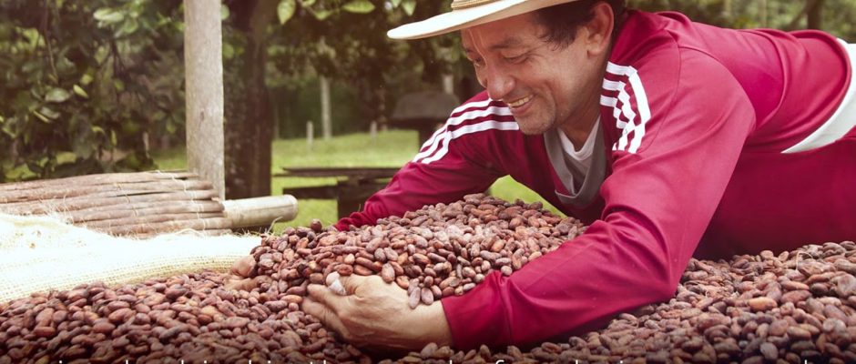 Healthier Baking with Cacao Nibs, Cacao Powder and Cocoa Powder?