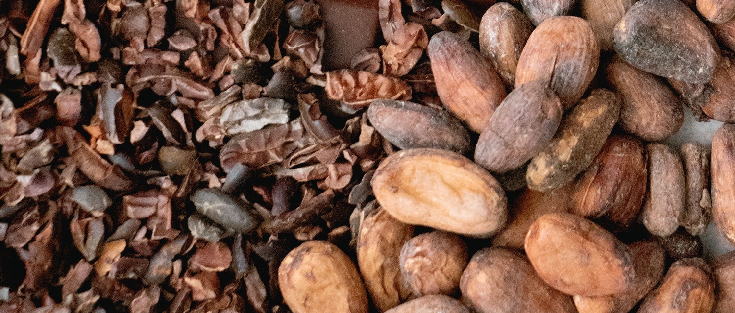 What are cacao nibs?